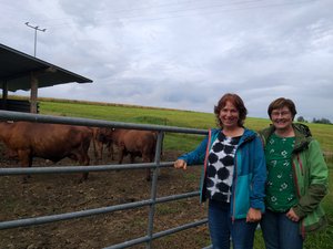 Das Bild zeigt die Abgeordneten Rosi Steinberger und Gisela Sengl vor der Rotvieh-Weide in Moosbach. Im Hintergrund sind Rinder der Rasse Rotes Höhenvieh zu sehen. Sie haben rotbraunes Fell.